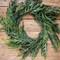 24” Iced Garden Norfolk Pine Wreath Elegant Frosted Holiday Decoration